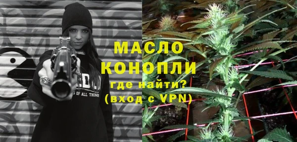 соль ск Вяземский